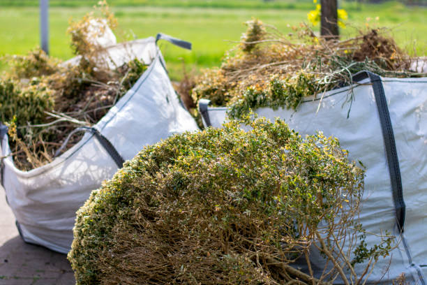 Best Attic Cleanout  in Ossian, IN